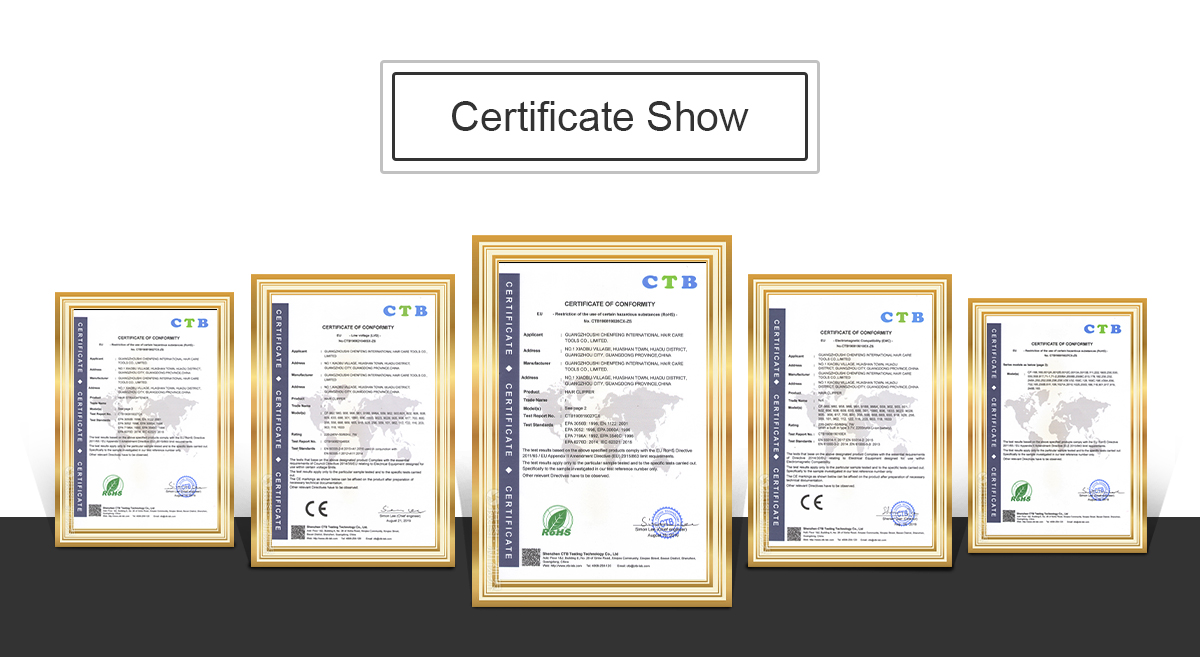 Exhibition certificate (2)